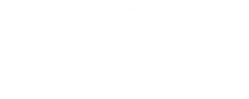 amigotex